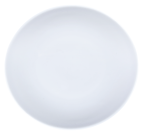 27cm Dinner Plate (270x270x26mm)